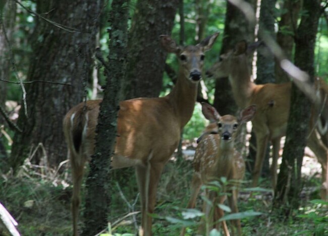 Building Photo - 4155 Old Light Cir