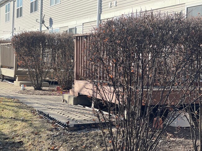 Building Photo - 3252 Cool Springs Ct