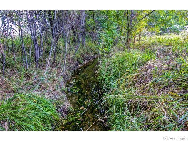 Creek - 770 Loveland Street