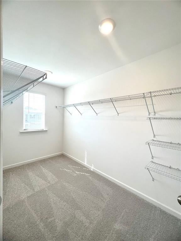 Building Photo - 1529 Hay Patch Ln