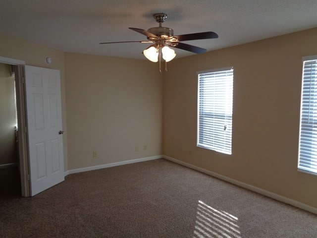 Building Photo - 2009 Angel Tear Ct