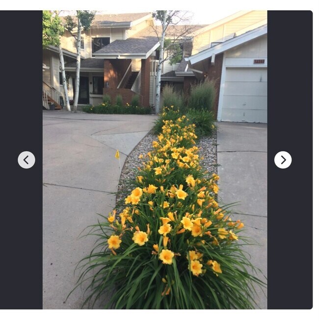 Mature no-maintenance landscaping - 1424 Front Nine Dr