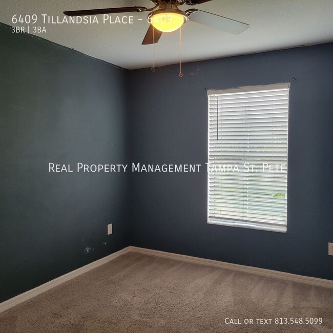 Building Photo - 6409 Tillandsia Pl