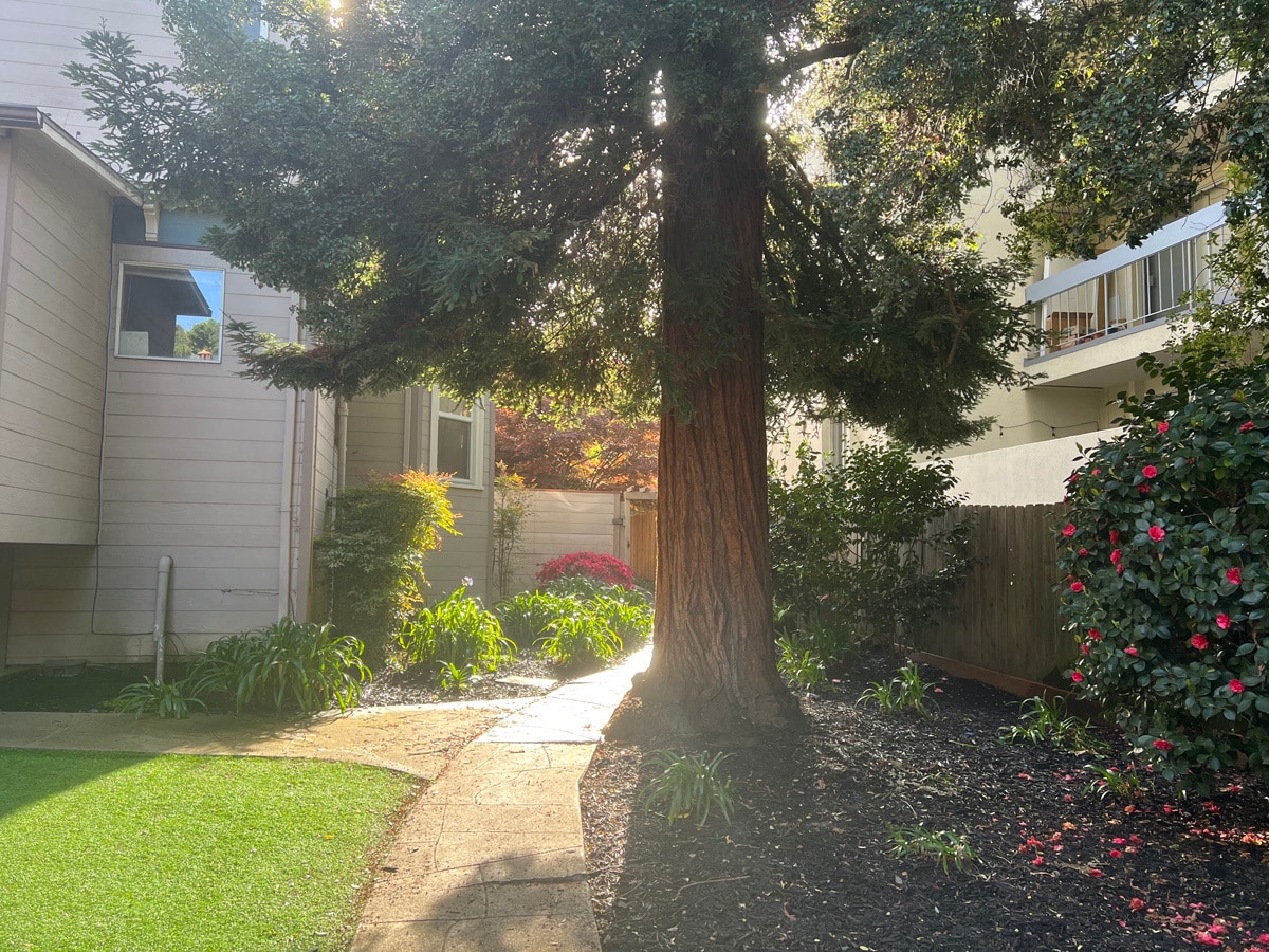 Building Photo - 2530 College Ave