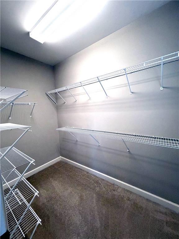 Building Photo - 3026 Eltham Pl