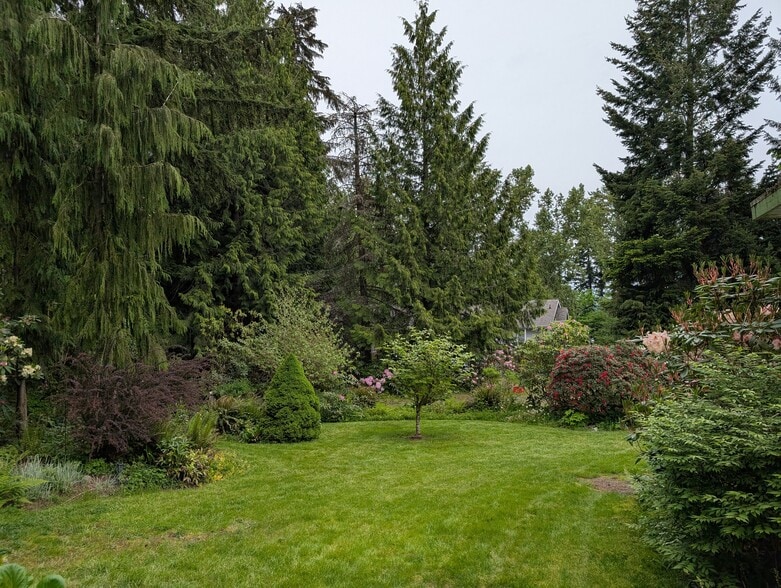 backyard - 2575 Yew Street Rd