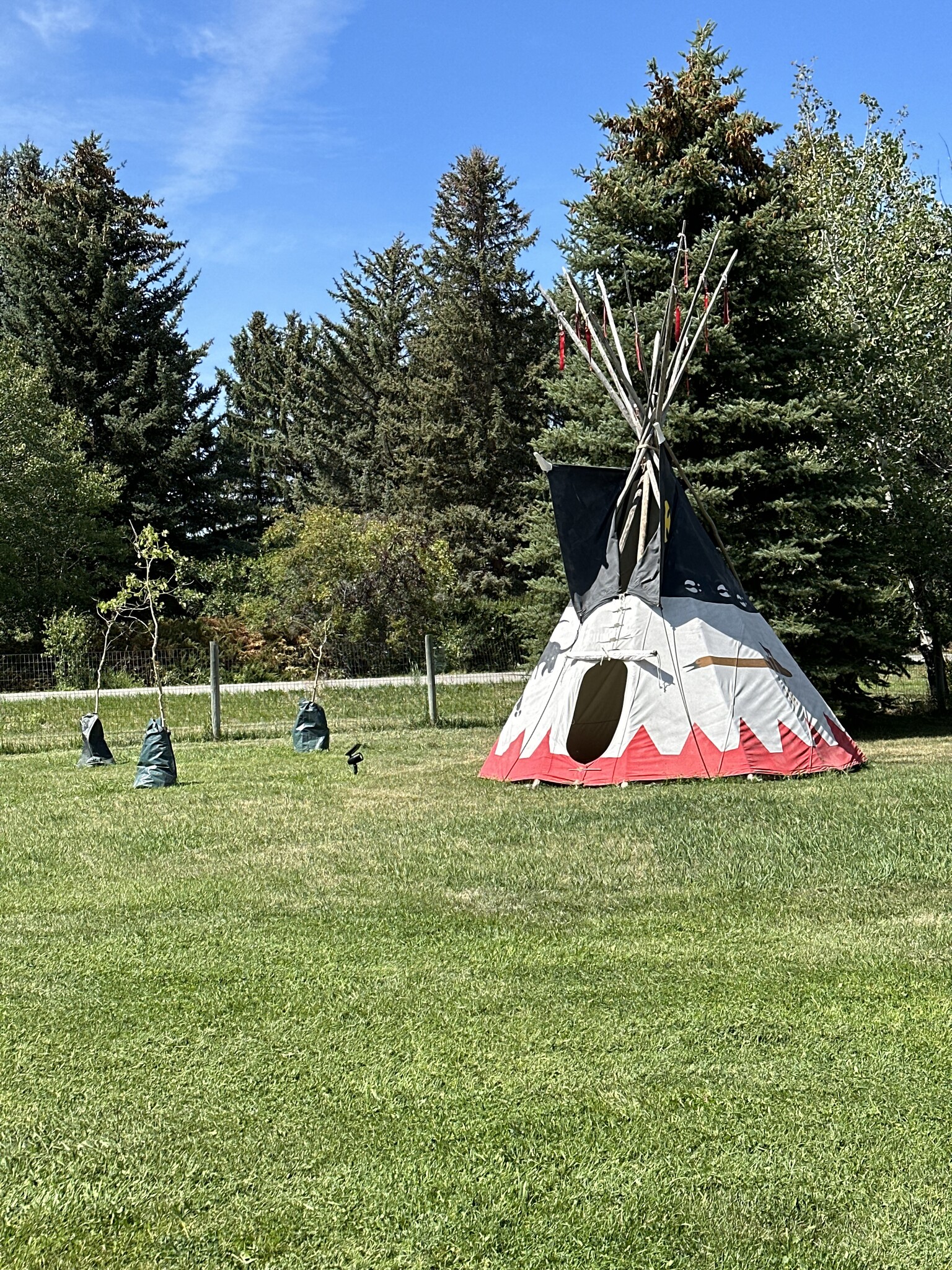 Building Photo - 12 Cloninger Ln