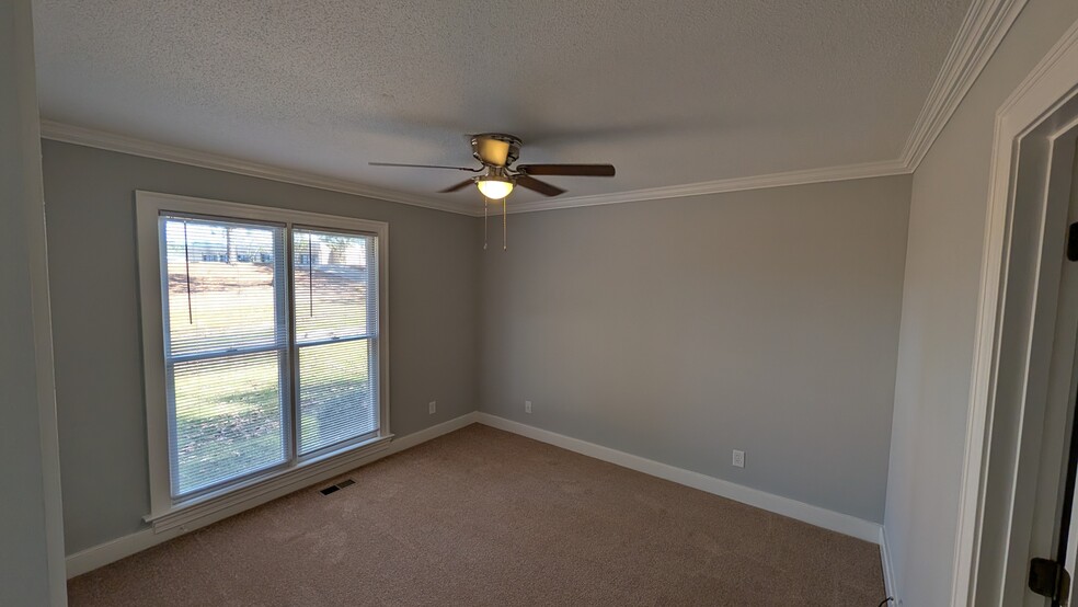 guest bedroom - 805 Spring Ln