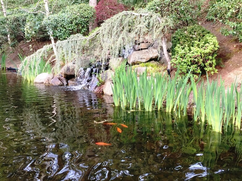 Water feature from patio - 10026 NE 127th Pl
