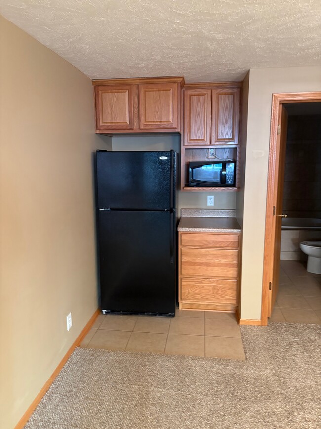 Fridge and cabinets in finished lower level great room - 2804 Porter Ridge Rd