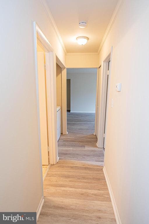 Building Photo - 804 College Ln