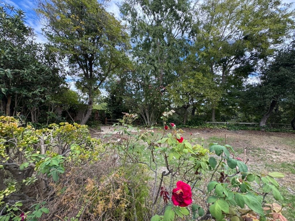 Building Photo - 2212 Linda Flora Dr