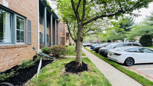 Building Photo - 12480 Sweet Leaf Ter