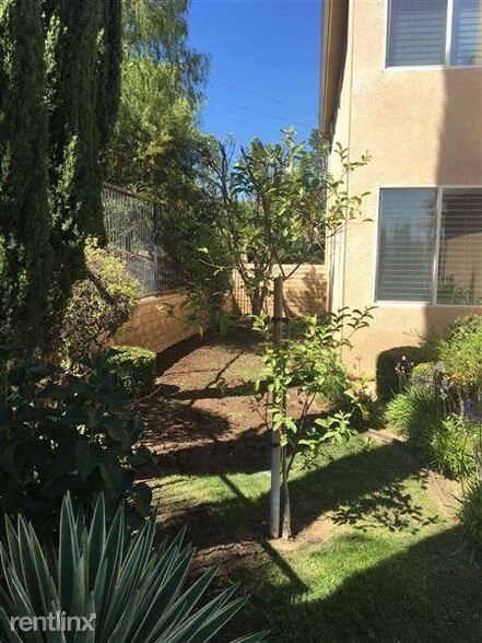 Side Yard - 19988 Via Joyce Drive