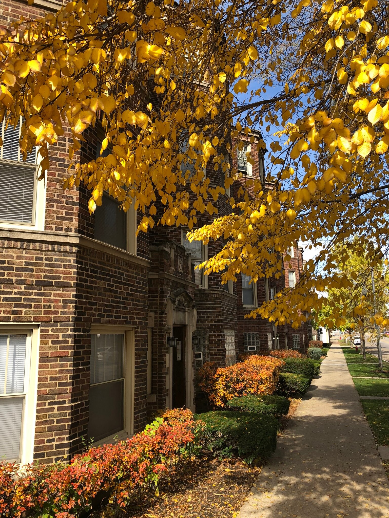 Building Photo - 824 S Austin Blvd