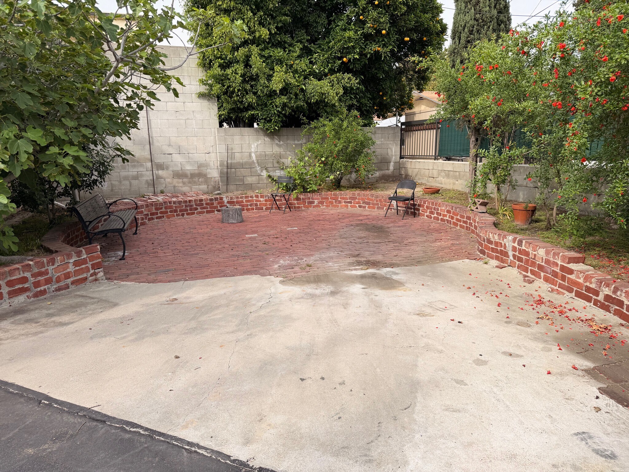 Building Photo - 337 W Lomita Ave