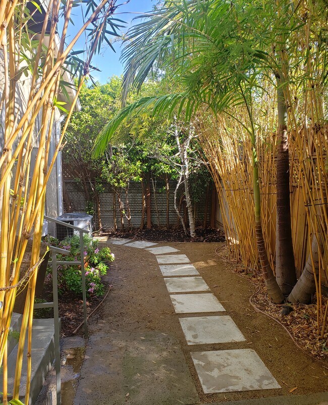 Rear Yard - 1766 Carmona Ave