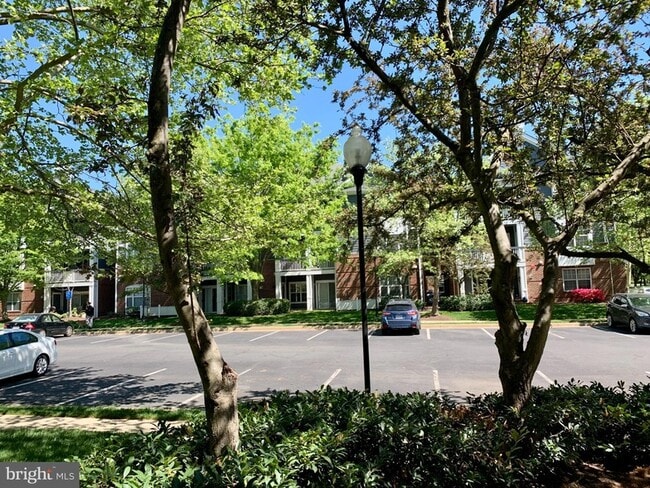 Building Photo - 20301 Beechwood Terrace