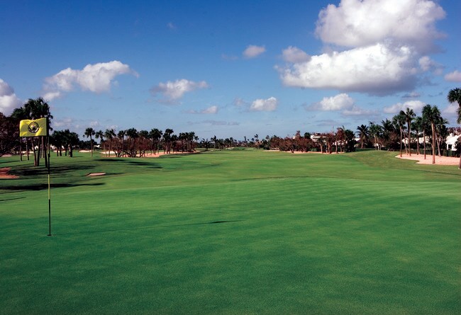 Building Photo - 1001 Crystal Way