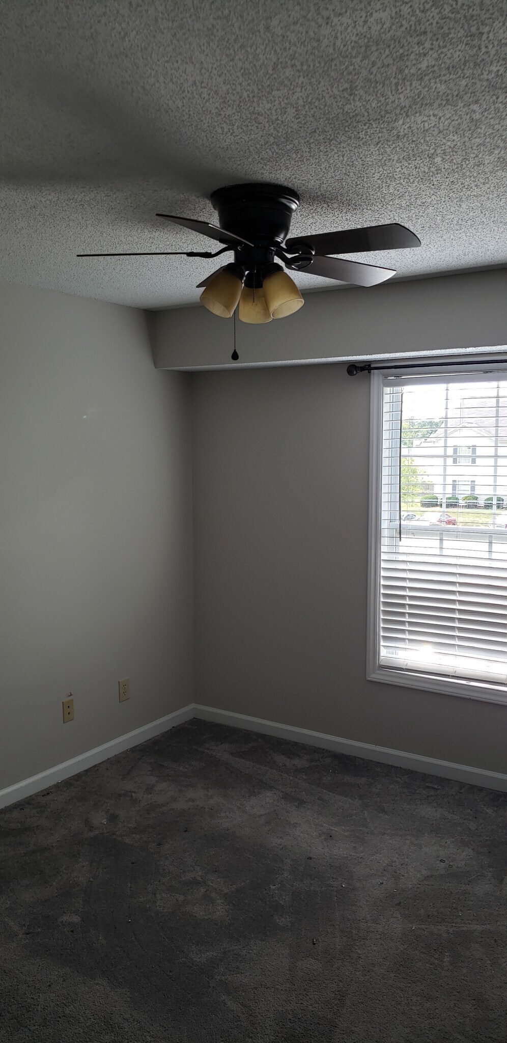 Building Photo - 803 Moultrie Ct