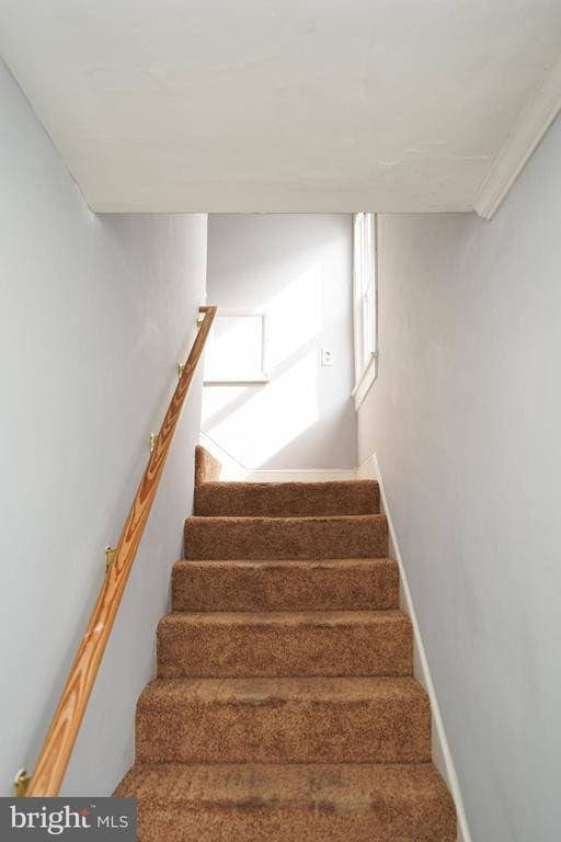 Building Photo - 605 Oak Hill Ave