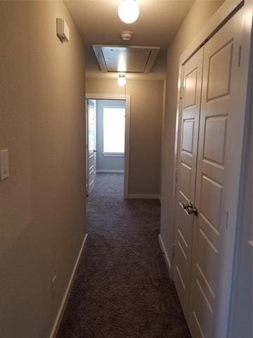 Building Photo - 501 Cold Mountain Trail