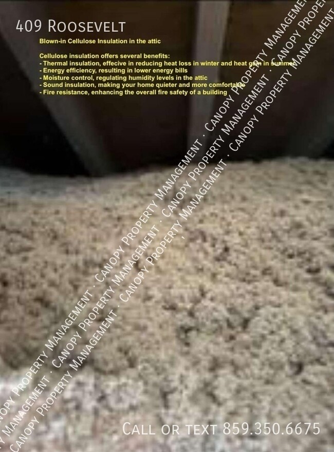 Building Photo - 409 Roosevelt-