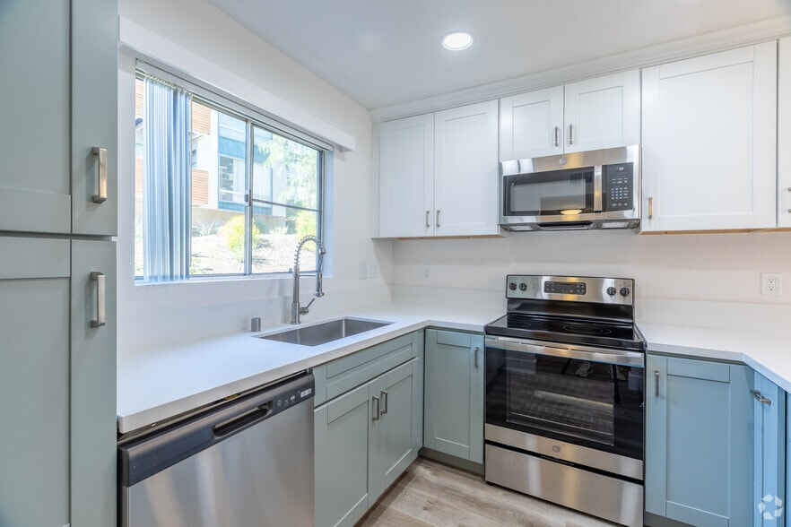 Primary Photo - Trolley Palm