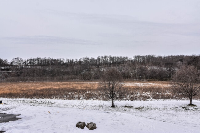 Building Photo - Pet Friendly Home on Half Acre Lot!