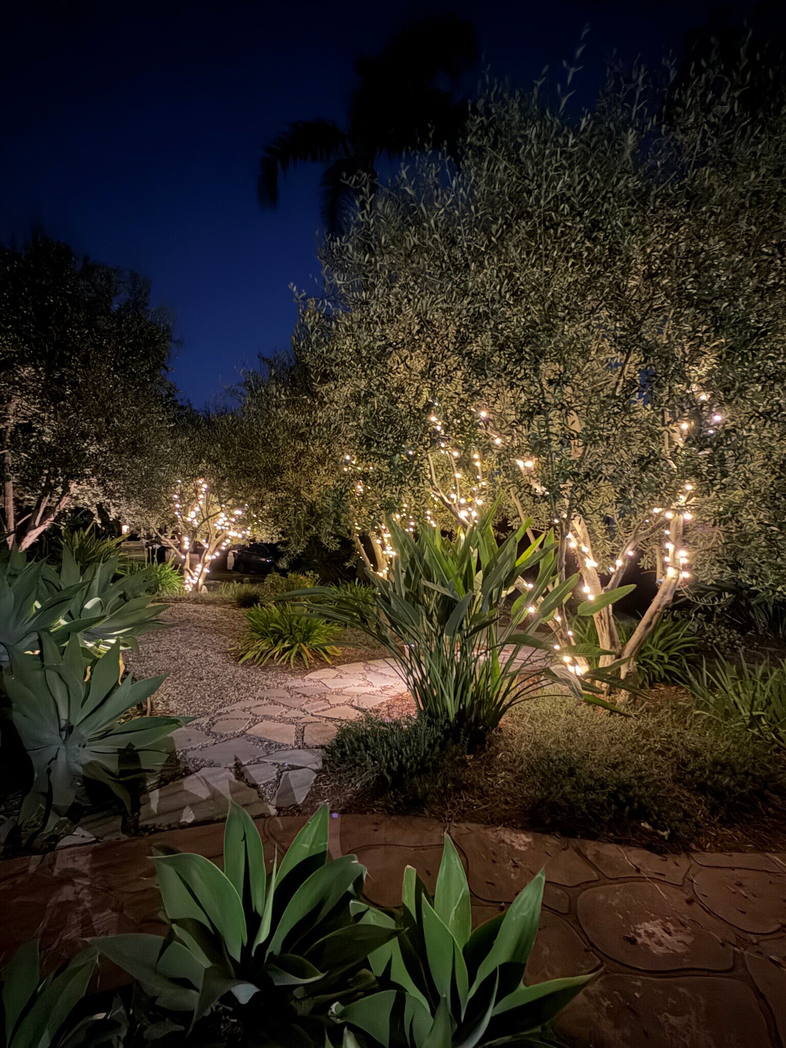 Front yard at night - 3023 11th Ave