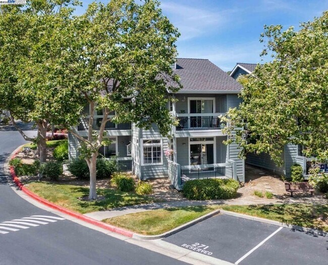 Building Photo - 8170 Mountain View Dr