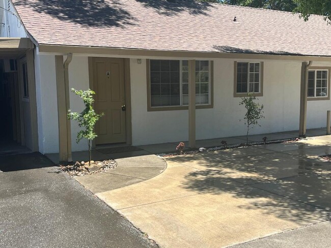 Building Photo - Absolutely ADORABLE/Spacious 2/2 Duplex!  ...