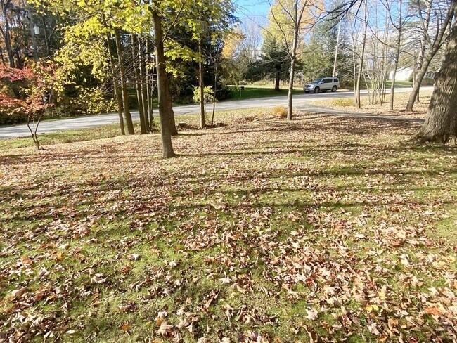 Building Photo - 4-Bedroom, 1 Bath Home on Wooded Lot near Aspirus Hospital