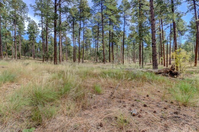 Building Photo - Rent this Cabin that backs to Prescott Nat...