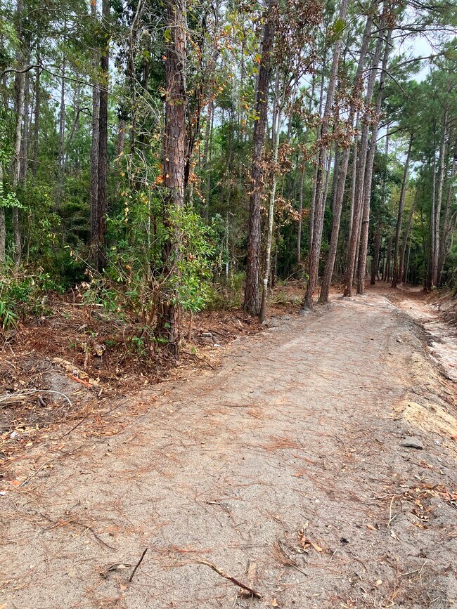 Building Photo - 164 Golden Meadow Dr