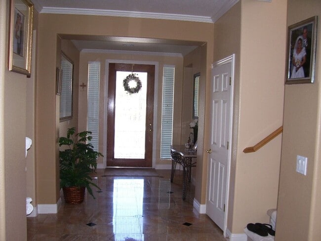 Building Photo - LACEBARK PINE