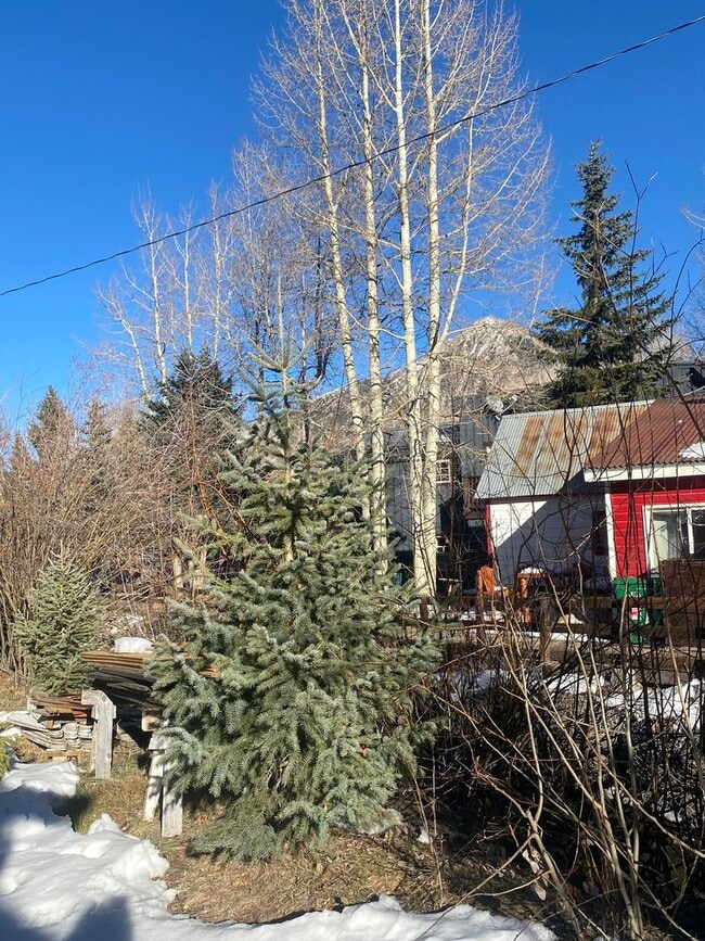 Building Photo - Accessory dwelling on the creek!