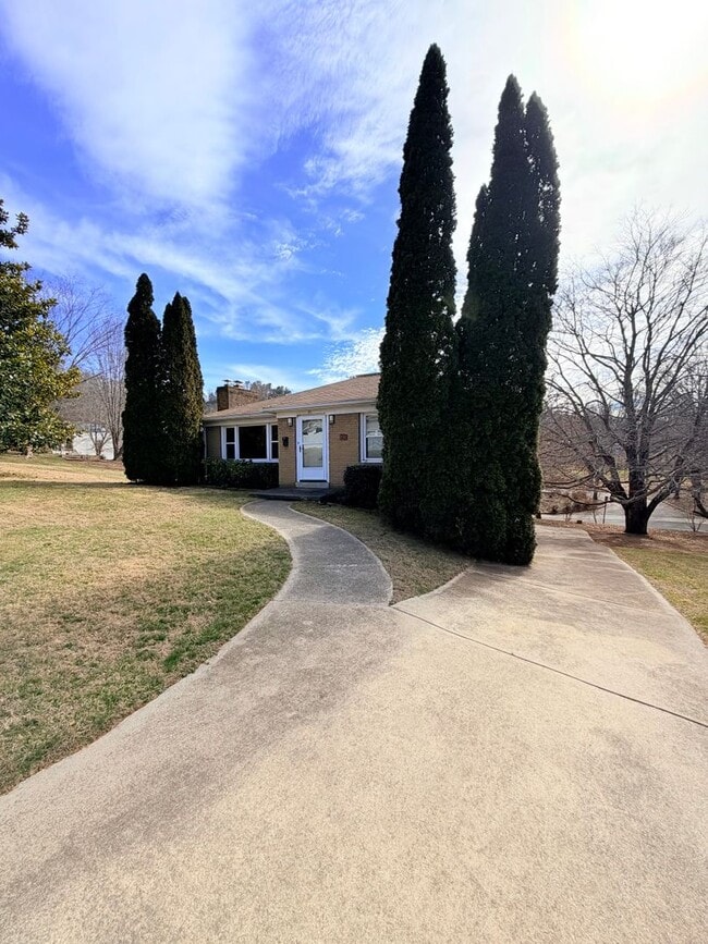 Building Photo - 3 Bed, 2 Bath Pet Friendly Downtown Asheville Location, Available Now - Lawn Care Included!