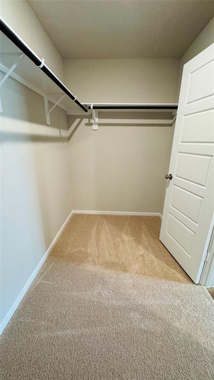 Building Photo - 10495 Cloud Nine Ct