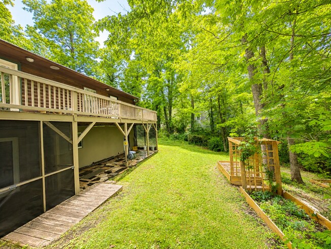 Building Photo - Black Mountain Cabin!