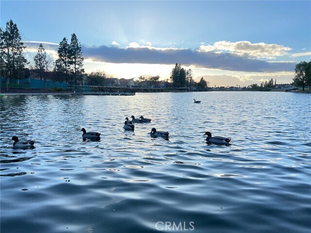 Building Photo - 30665 Spring Deep Terrace