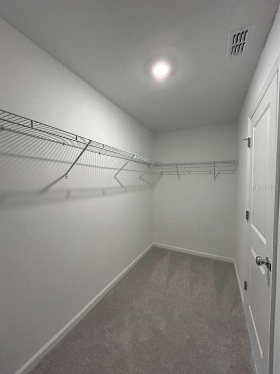 Building Photo - 6412 DOMIZIO Dr