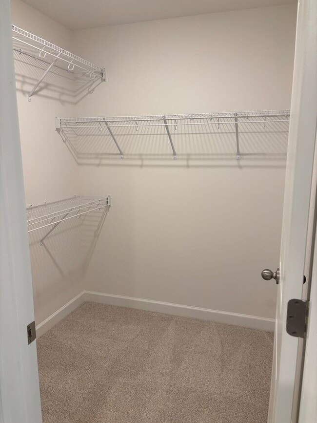 Building Photo - Brand New Build! 4 Bedrooms