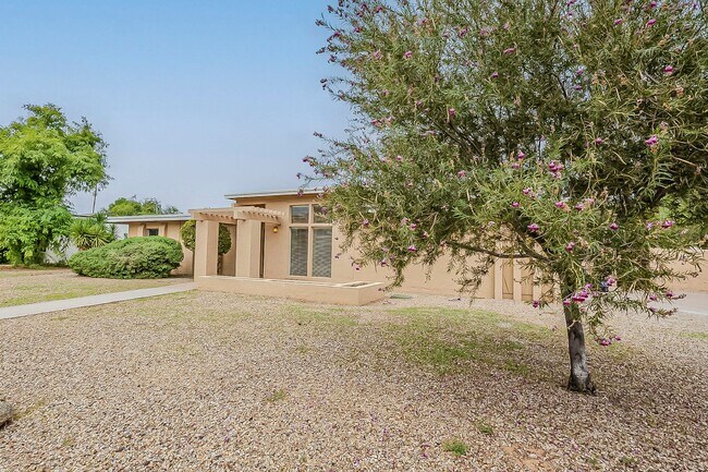Building Photo - 85254! Four Beds with POOL!