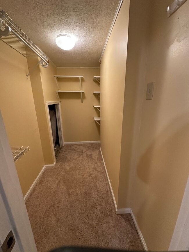 Building Photo - Stunning West Knoxville Transformation | Designer Kitchen & Smart Home Features