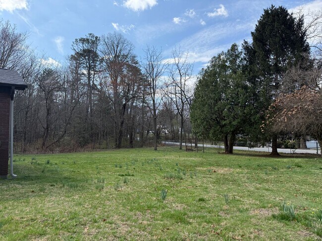 Building Photo - 3-bedroom, 2-bath brick ranch in Black Mountain