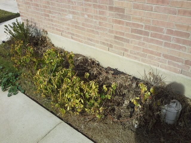 Building Photo - 2902 Aspen Mdw