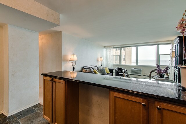 Building Photo - 1150 N Lake Shore Dr