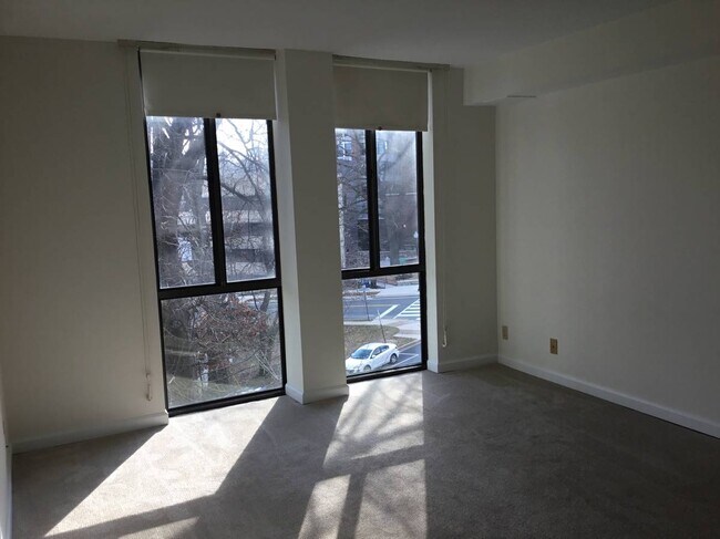Sunny Primary Bedroom 16'x12' with two big ceiling to floor windows - 1401 N Rhodes St