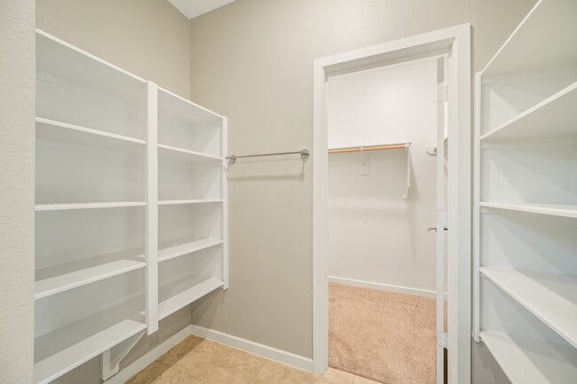 Building Photo - 7314 Bristlegrass Colony Ct